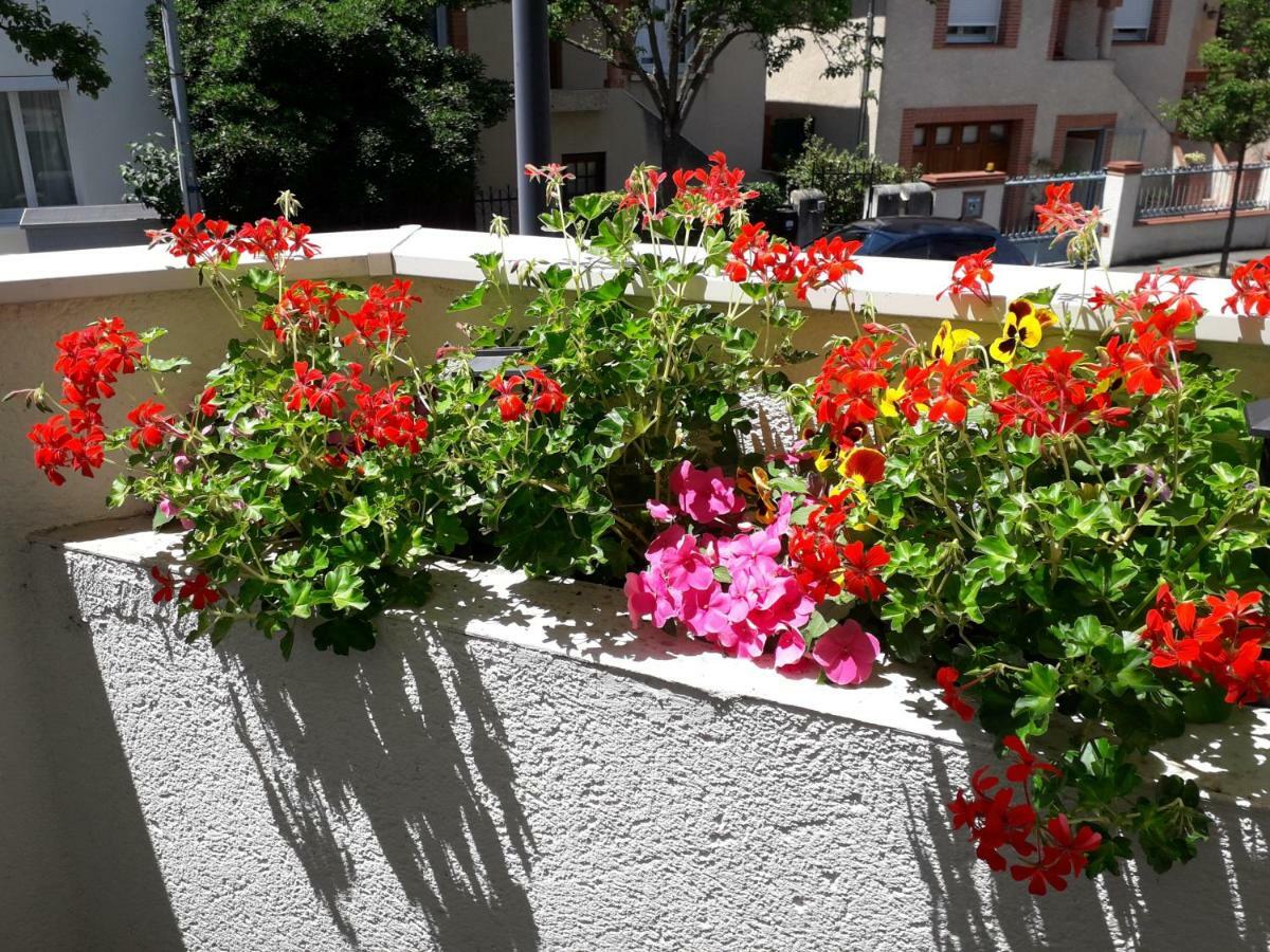:) Grand Studio Lumineux A Toulouse Et Parking Luaran gambar